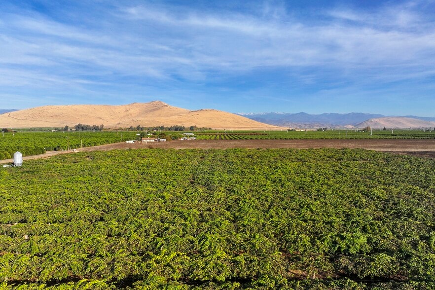 39496 Road 136, Cutler, CA for sale - Building Photo - Image 3 of 9