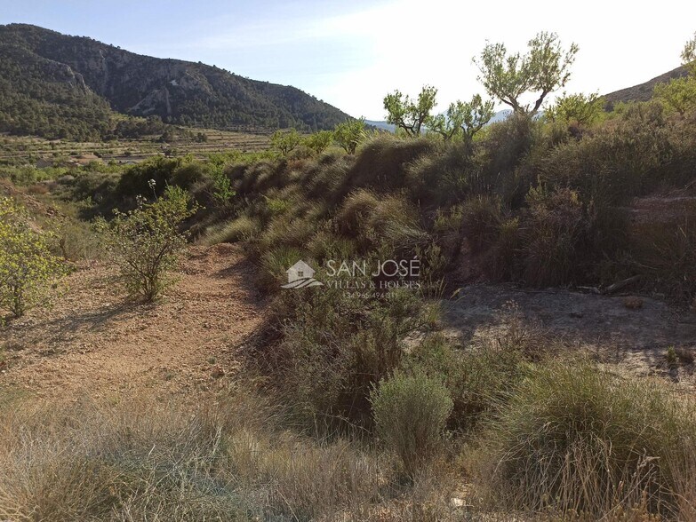 Terrain dans La Romana, Alicante à vendre - Photo principale - Image 2 de 21
