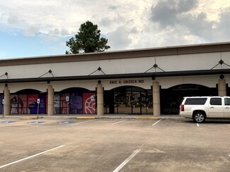 Plus de détails pour 10023 Main St, Houston, TX - Bureau/Médical à louer