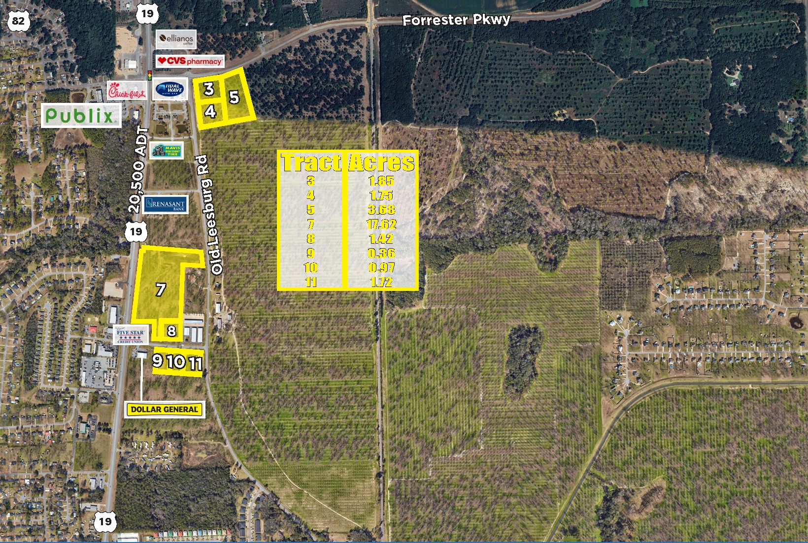 Forrester Parkway Hwy, Leesburg, GA for sale Primary Photo- Image 1 of 25
