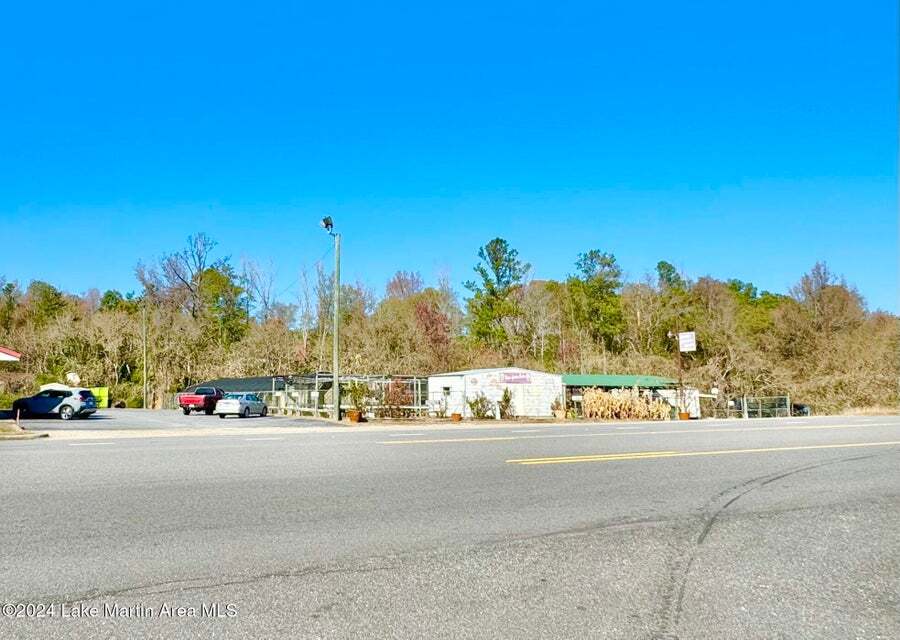 1217 Tallapoosa St, Alexander City, AL for sale Primary Photo- Image 1 of 29