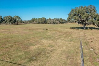 Plus de détails pour 31935 State Road 52, San Antonio, FL - Terrain à vendre