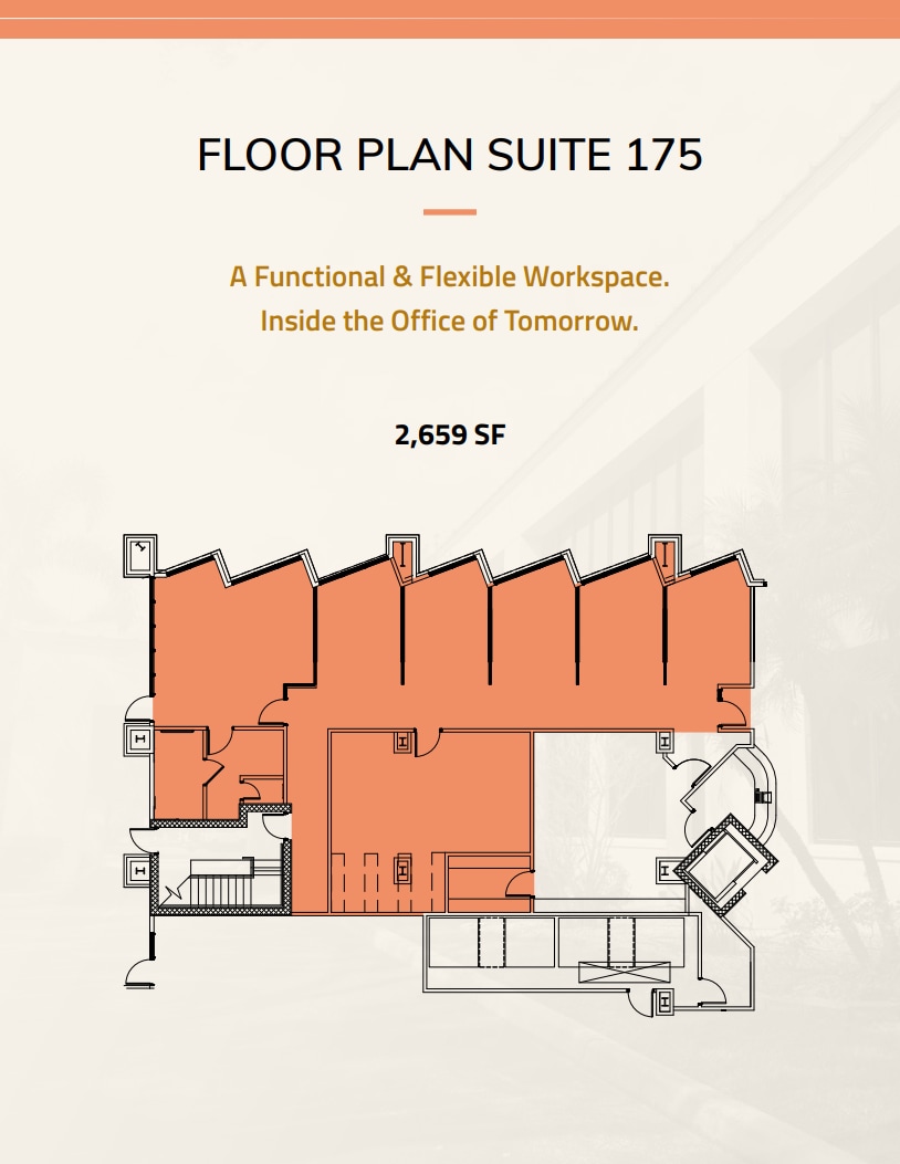 3812 Coconut Palm Dr, Tampa, FL à louer Plan d’étage- Image 1 de 1