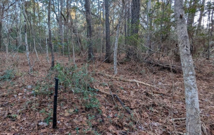 1981 Liberia Rd, Wadmalaw Island, SC for sale - Other - Image 2 of 4