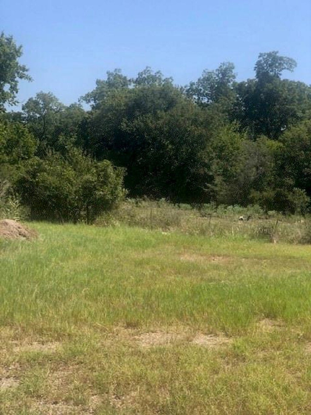 TBD Hwy 77, Lexington, TX for sale Primary Photo- Image 1 of 5