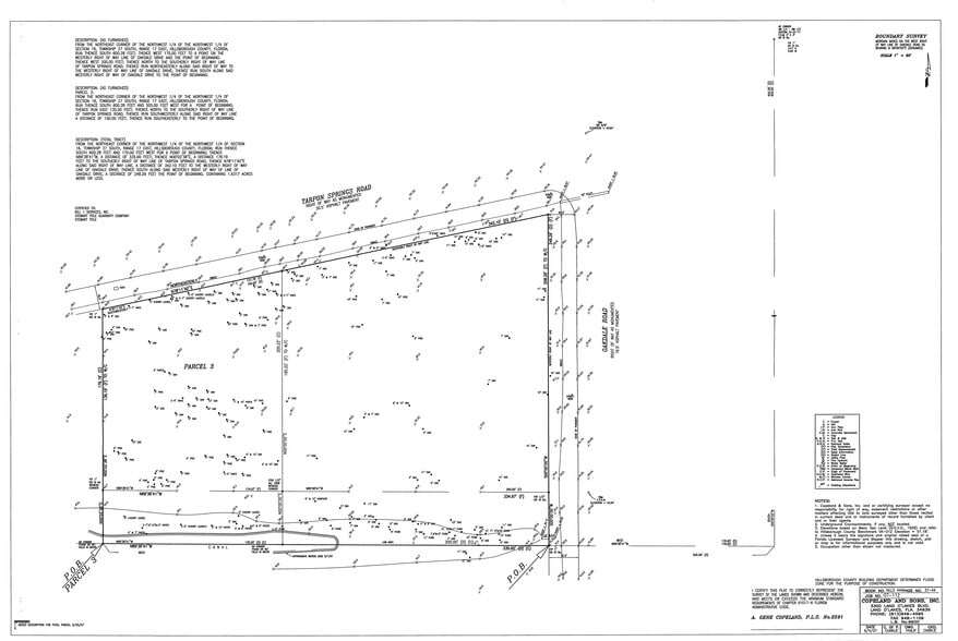 11026 Tarpon Springs Rd, Odessa, FL for sale - Site Plan - Image 2 of 4
