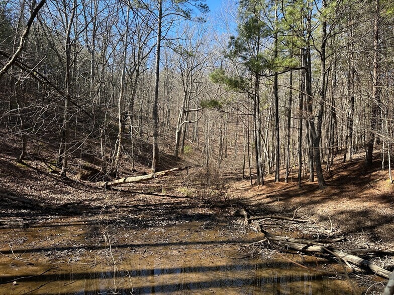 3472 Prior Station Rd, Cedartown, GA for sale - Building Photo - Image 2 of 73