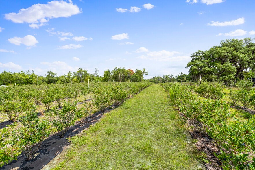 130 Strawberry ln, Pomona Park, FL à vendre - Photo du bâtiment - Image 3 de 27