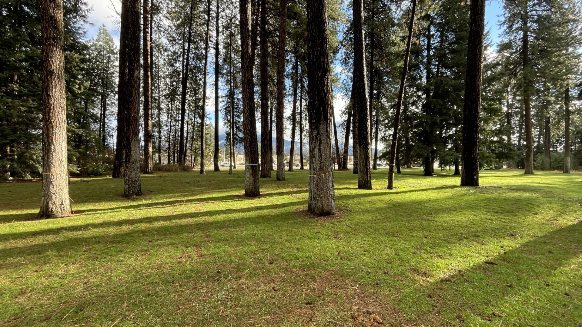 NNA Mineral Dr, Coeur d'Alene, ID for sale Building Photo- Image 1 of 9
