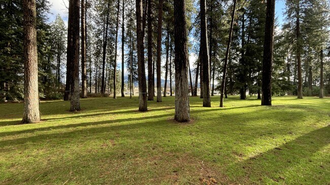 Plus de détails pour NNA Mineral Dr, Coeur d'Alene, ID - Terrain à vendre