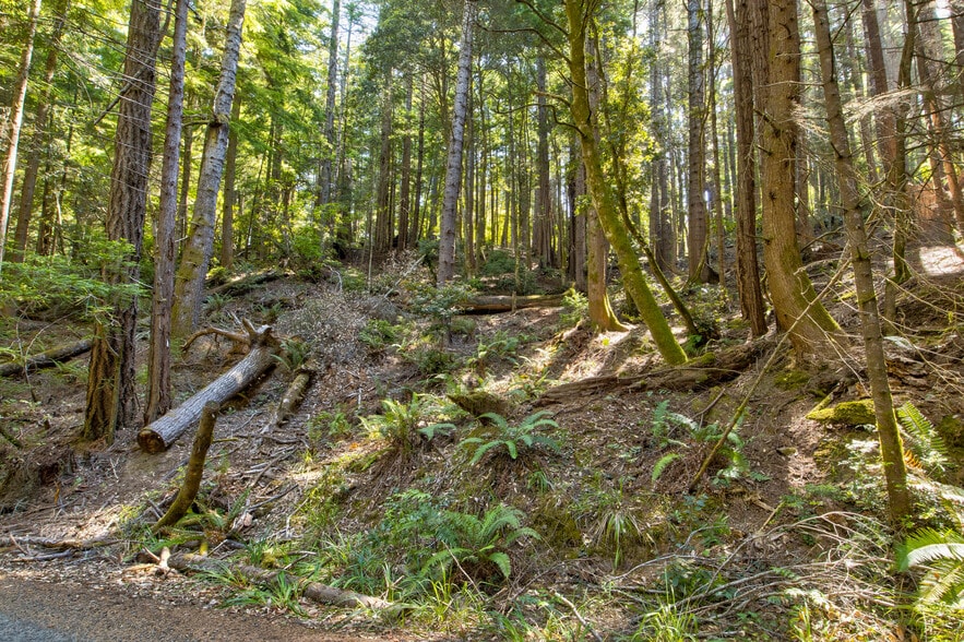 33170 Frog Pond rd, Little River, CA à vendre - Photo du bâtiment - Image 3 de 28