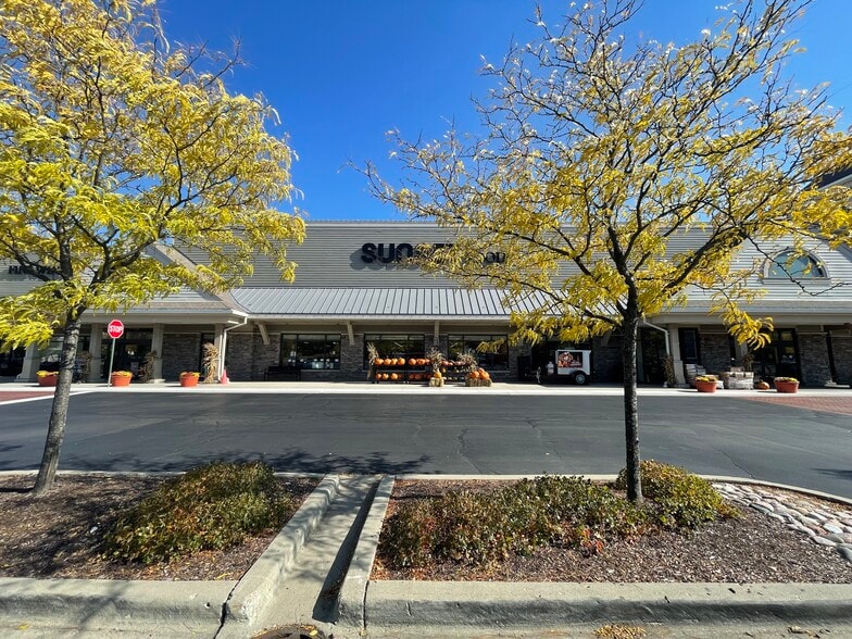 SEC Rte 83 & Aptakisic Rd, Long Grove, IL for lease - Building Photo - Image 2 of 22