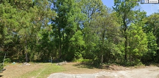 More details for SE 122nd Rd Lane Rd, Ocklawaha, FL - Land for Sale