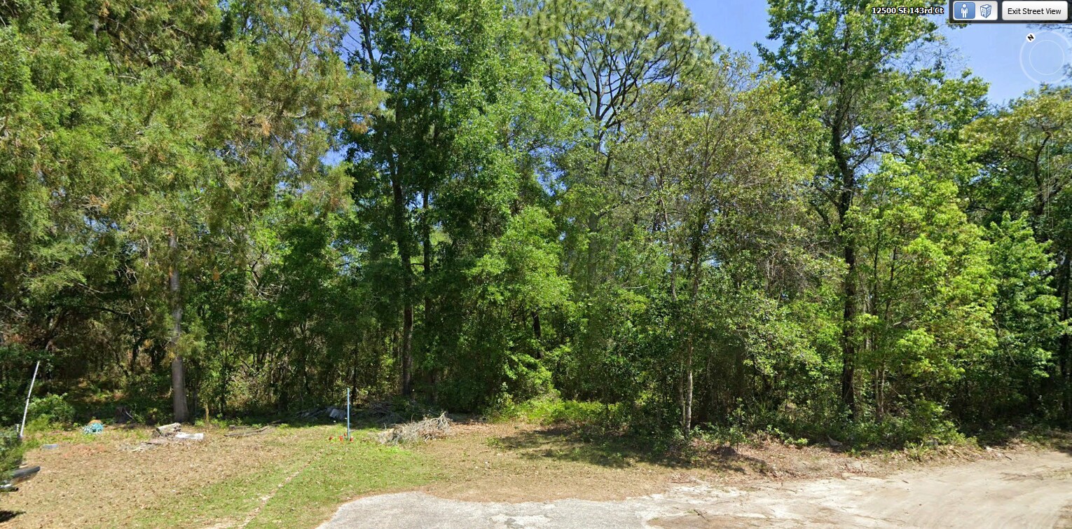 SE 122nd Rd Lane Rd, Ocklawaha, FL à vendre Autre- Image 1 de 4