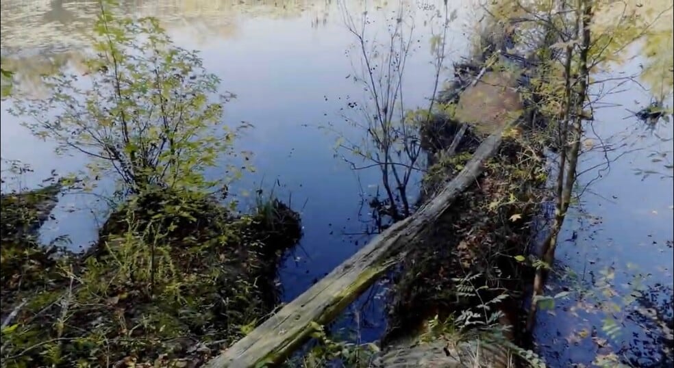 3382 Silver Bluff Rd, Aiken, SC for sale - Building Photo - Image 2 of 7