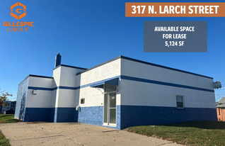 317 N Larch St, Lansing MI - Entrepôt