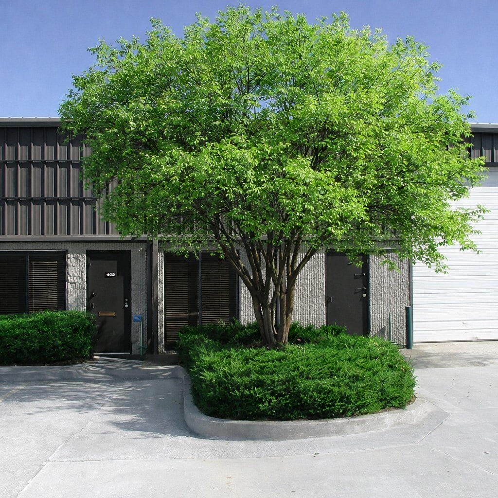 129 Bethea Rd, Fayetteville, GA for lease Interior Photo- Image 1 of 4