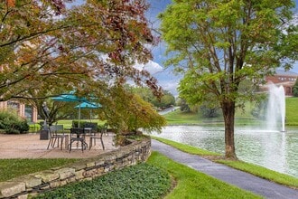 675 Peter Jefferson Pky, Charlottesville, VA for lease Other- Image 2 of 3