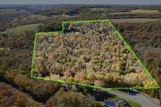 Plus de détails pour 1095 Bear Rd, Cowansville, PA - Terrain à vendre