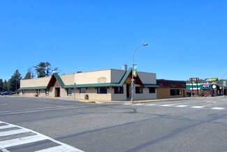 More details for 601 Minnesota Ave, Walker, MN - Retail for Lease
