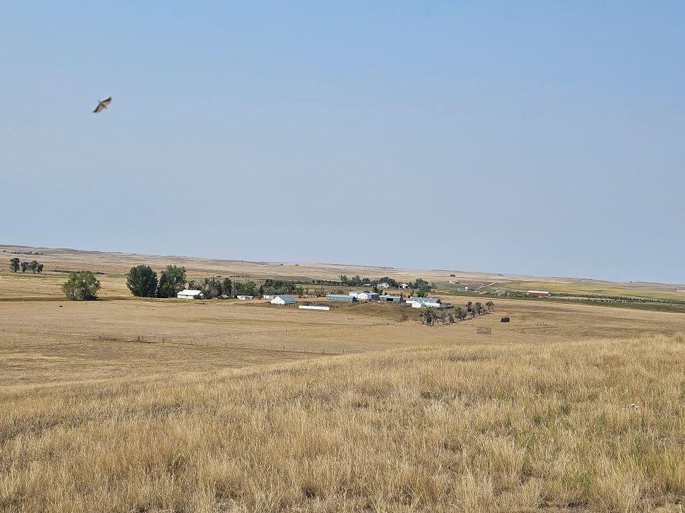 11130 Duck Creek Rd, Lodgepole, SD for sale Primary Photo- Image 1 of 27