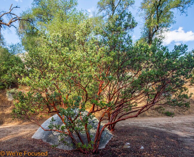 More details for Cryer, Banning, CA - Land for Sale