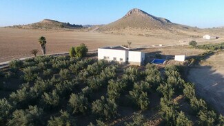 More details for Land for Sale