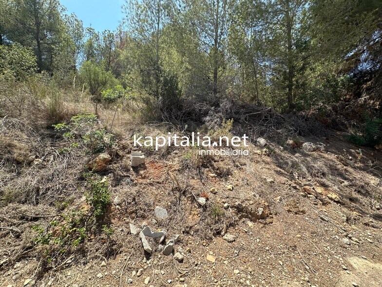 Land in Alberic, Valencia for sale - Primary Photo - Image 2 of 5