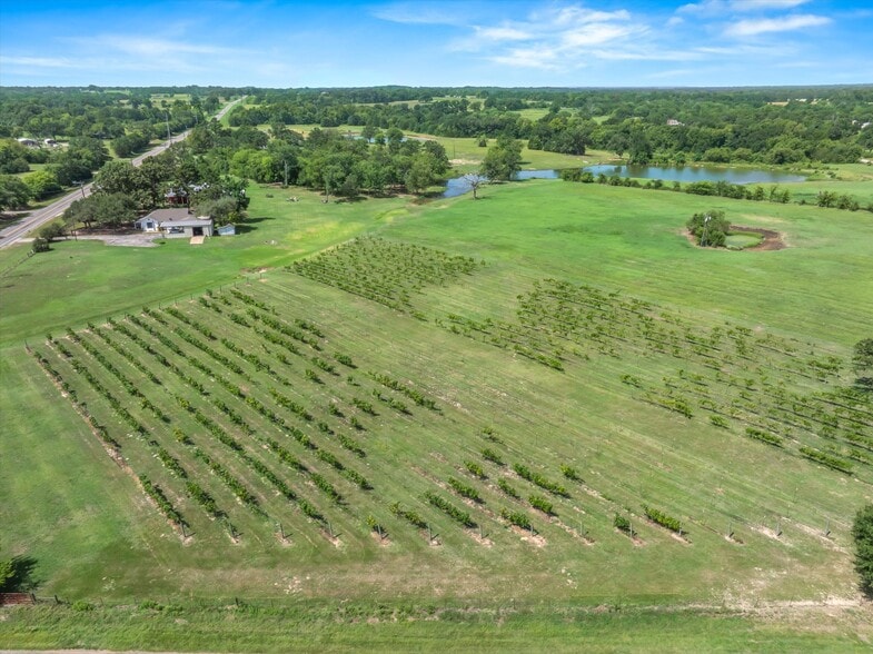 5518 State Highway 198, Canton, TX for sale - Building Photo - Image 3 of 56