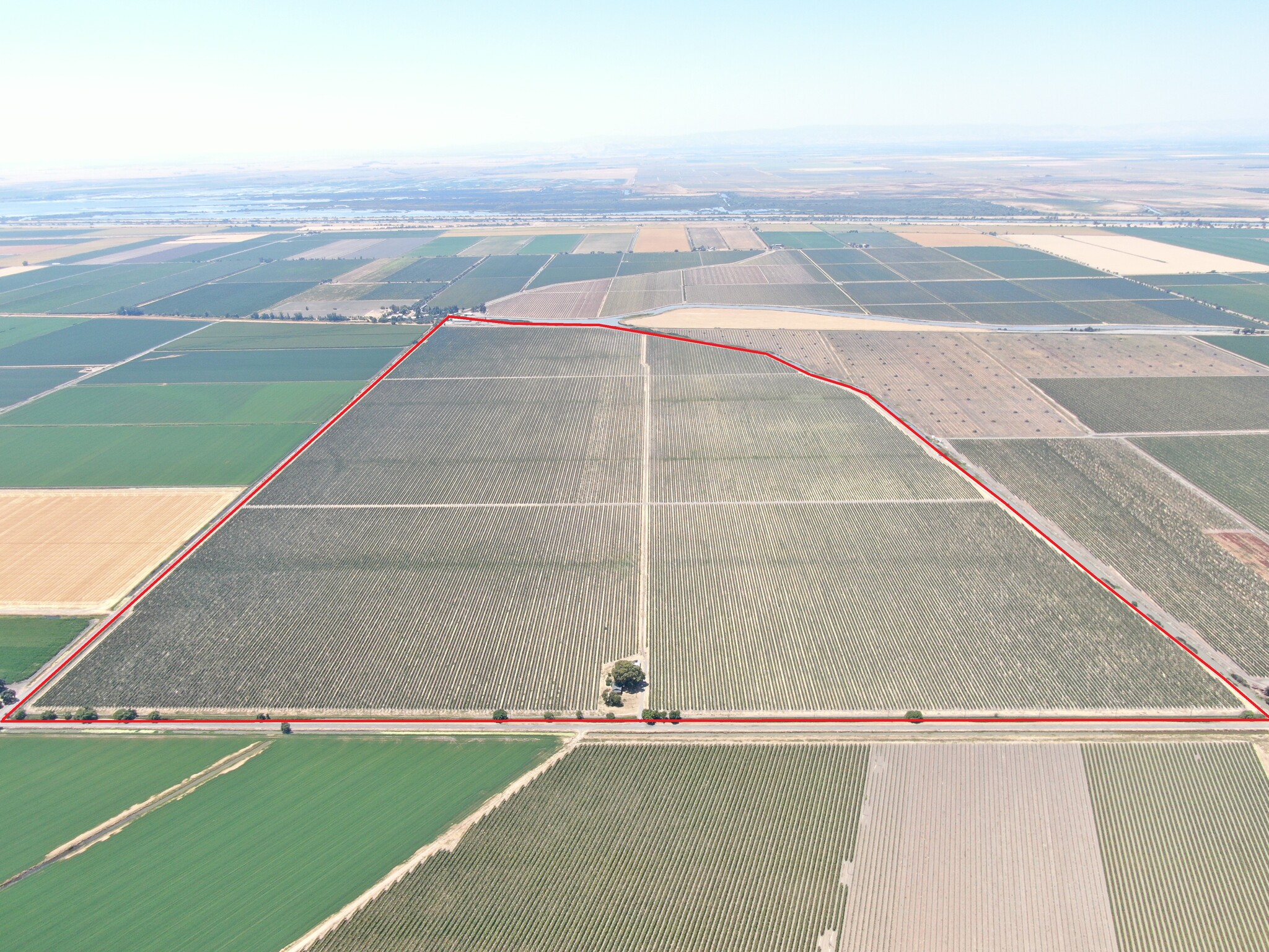 48450 W Sutter Rd, Clarksburg, CA for sale Primary Photo- Image 1 of 13