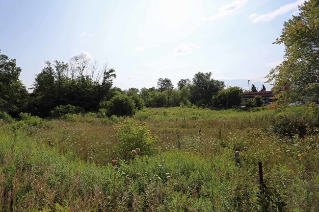 Plus de détails pour 20927 Dalton Rd, Georgina, ON - Terrain à vendre