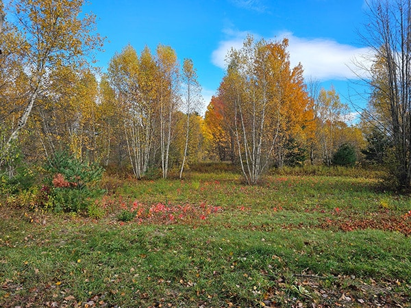 Racine Rd, Milton, VT à vendre Photo principale- Image 1 de 6