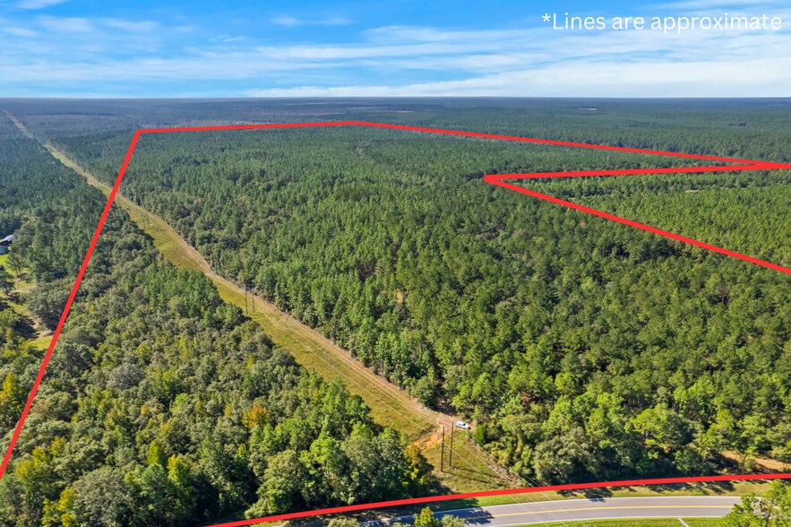 0 Nokomis Road, Walnut Hill, FL à vendre - Photo du bâtiment - Image 2 de 51