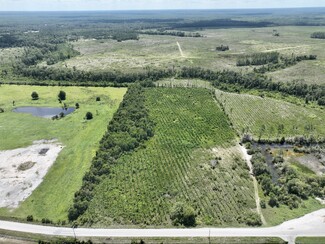 Plus de détails pour 0 CR 218 and US Route 301, Jacksonville, FL - Terrain à vendre