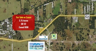 Plus de détails pour 31157 State Road 52, San Antonio, FL - Terrain à louer