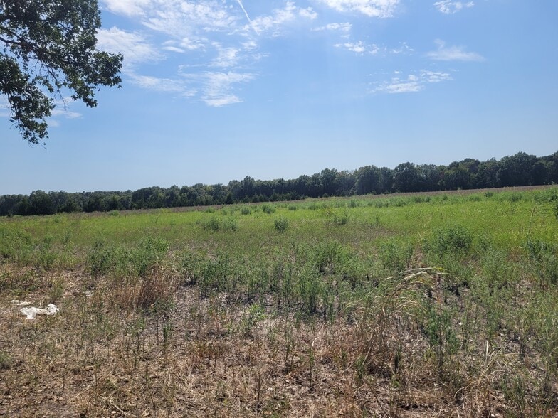 952 County Road 4135, Clarksville, TX à vendre - Photo principale - Image 1 de 12