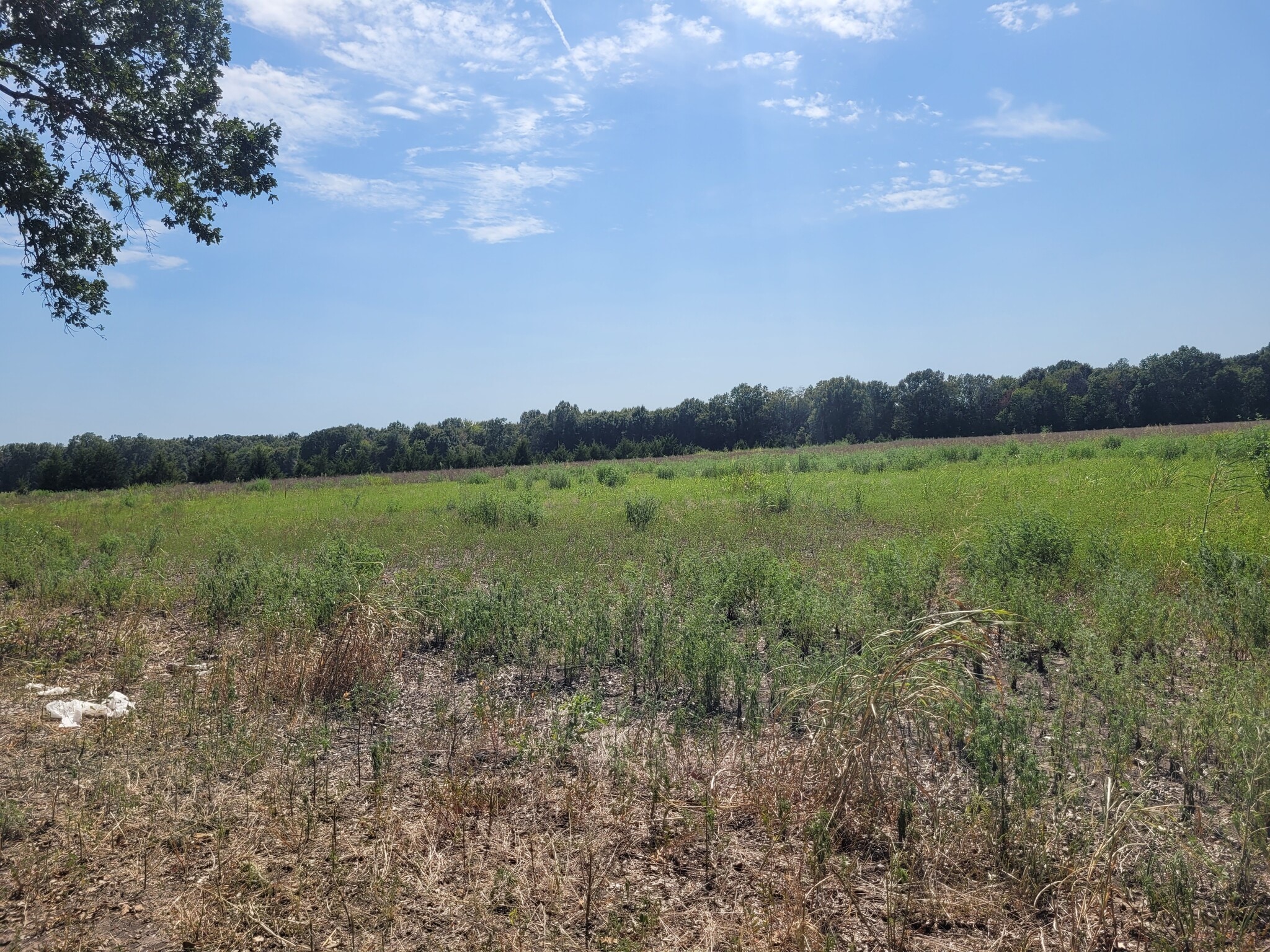 952 County Road 4135, Clarksville, TX for sale Primary Photo- Image 1 of 13