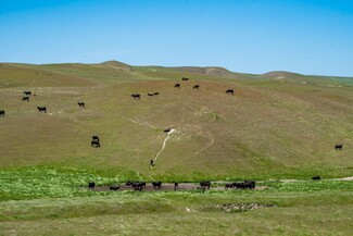 Plus de détails pour 8050 Bitterwater Rd, Shandon, CA - Terrain à vendre