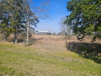 Plus de détails pour 29929 FM 1301 Rd, West Columbia, TX - Terrain à vendre