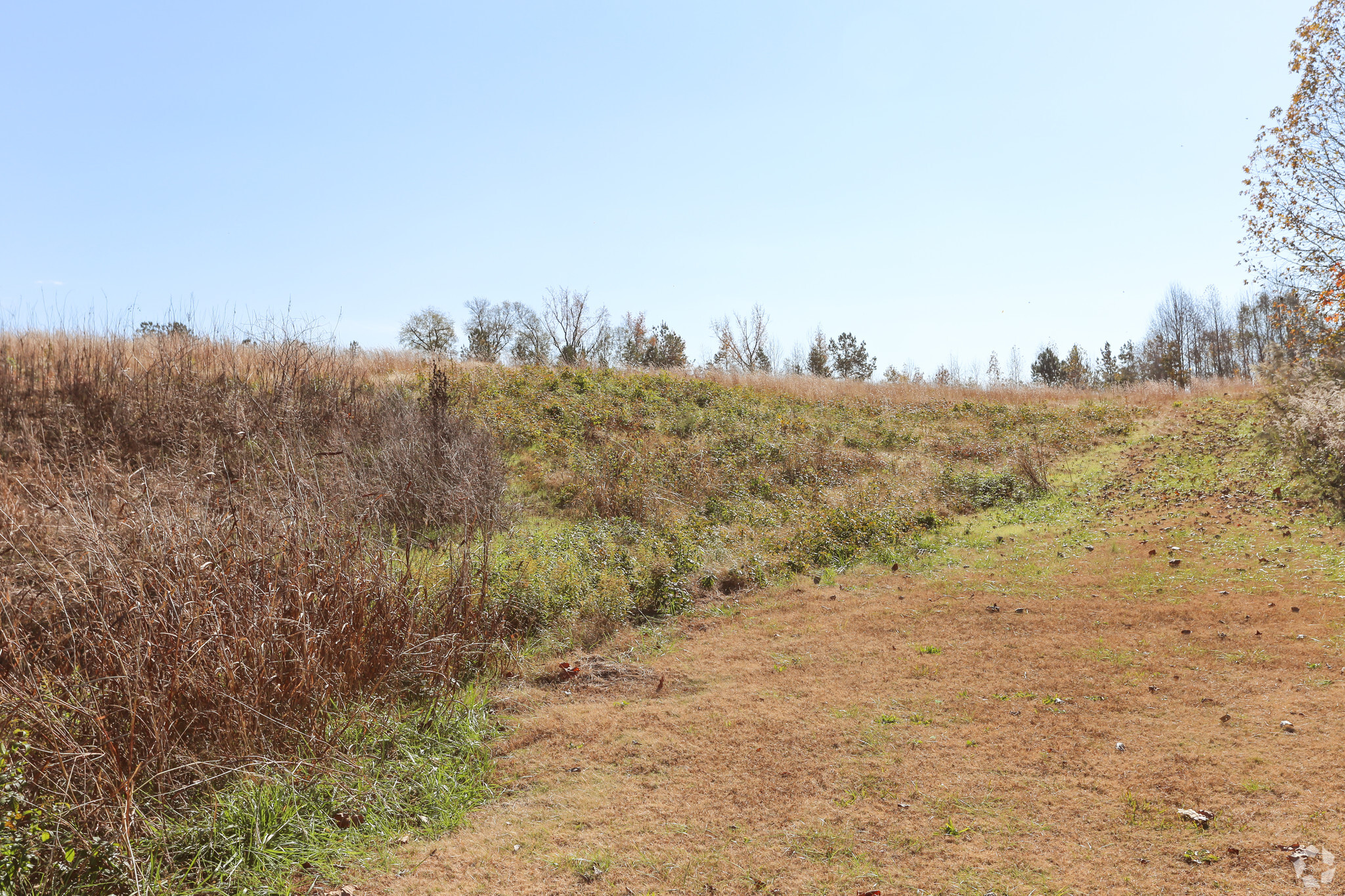 Shelby Hwy, Gaffney, SC for sale Primary Photo- Image 1 of 1