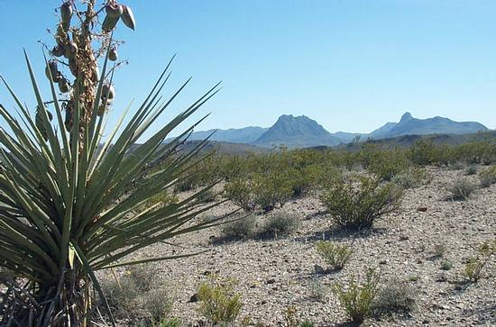 20 Acres In Brewster County Tx, Terlingua, TX à vendre - Photo principale - Image 1 de 3