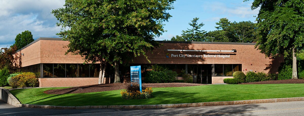 215 Commerce Way, Portsmouth, NH à louer Photo du bâtiment- Image 1 de 2