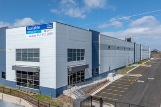 Plus de détails pour 4510 W Ann Lurie Pl, Chicago, IL - Industriel à vendre