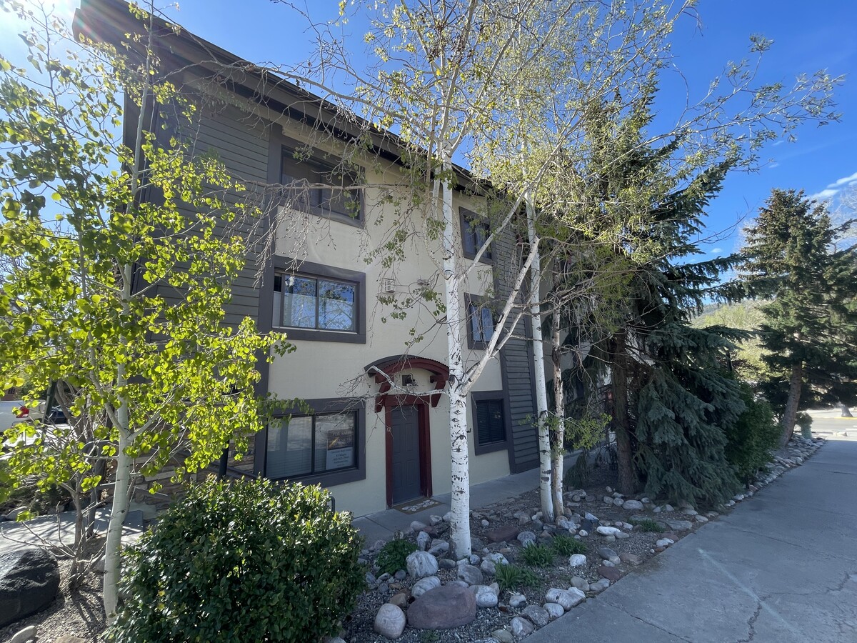 730 Yampa St, Steamboat Springs, CO 80487 - Unité A2 - - Photo intérieure - Image 2 of 24