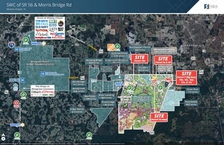 More details for 15810 Morris Bridge Rd, Thonotosassa, FL - Land for Lease