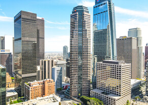 Figueroa at Wilshire - Convenience Store