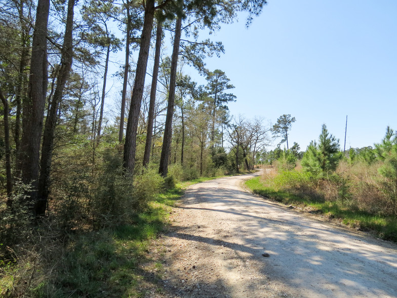 JORDY Rd, Huntsville, TX for sale - Other - Image 1 of 1