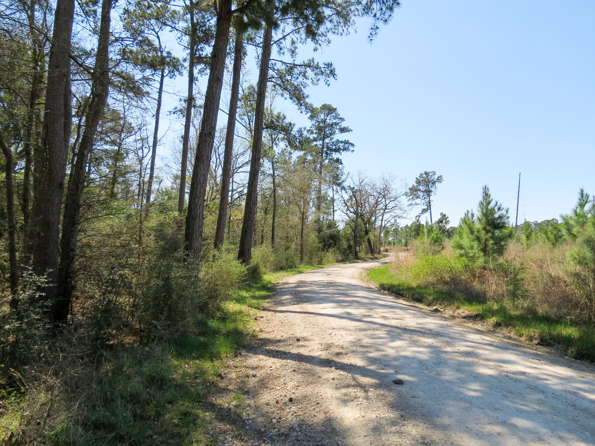 JORDY Rd, Huntsville, TX à vendre Autre- Image 1 de 1