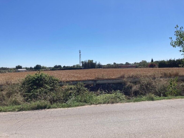 Terrain dans Jerez de la Frontera, Cádiz à louer - Aérien - Image 3 de 8