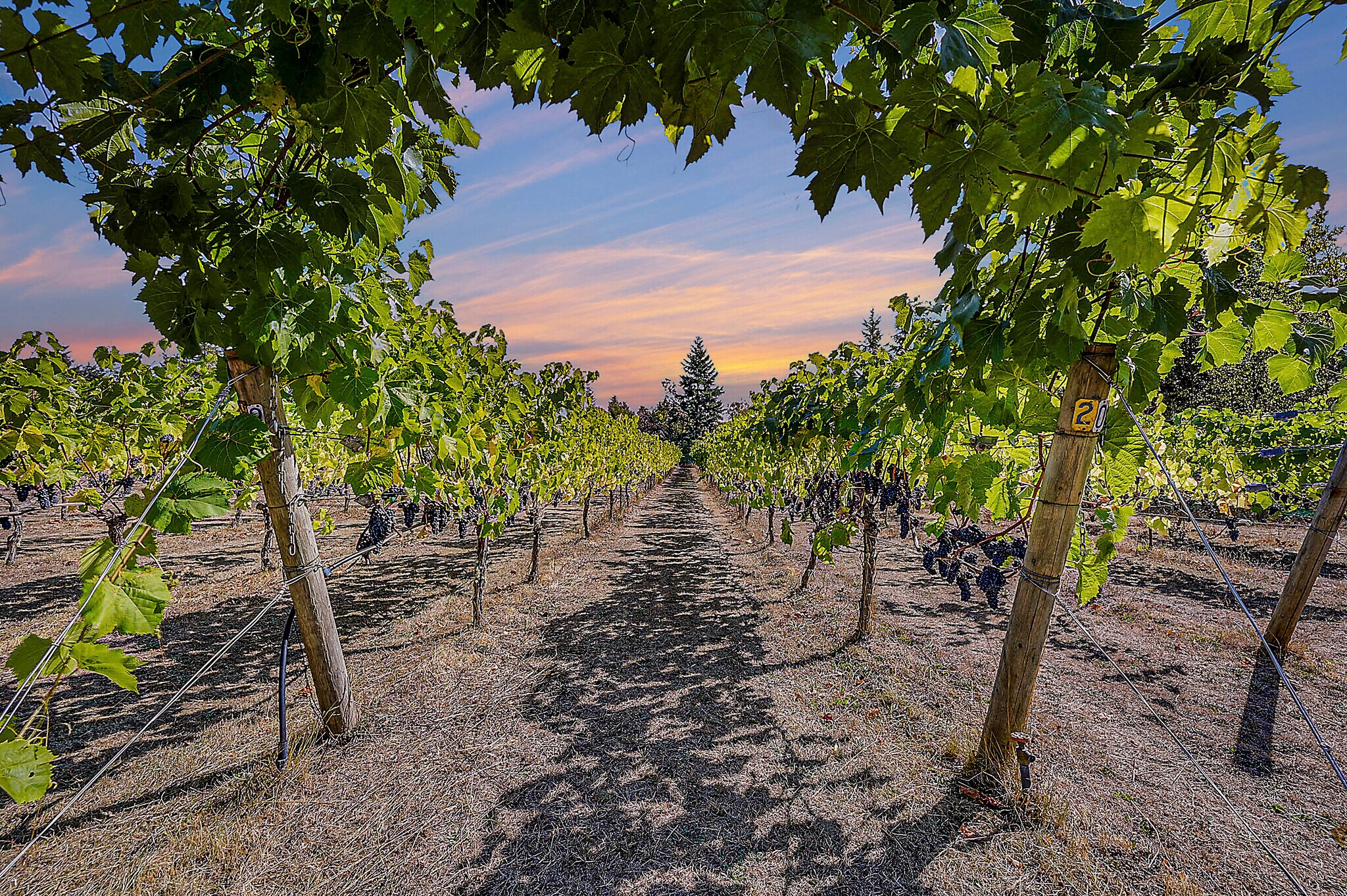 1673 Woodland Dr, Port Townsend, WA à vendre Photo du bâtiment- Image 1 de 100